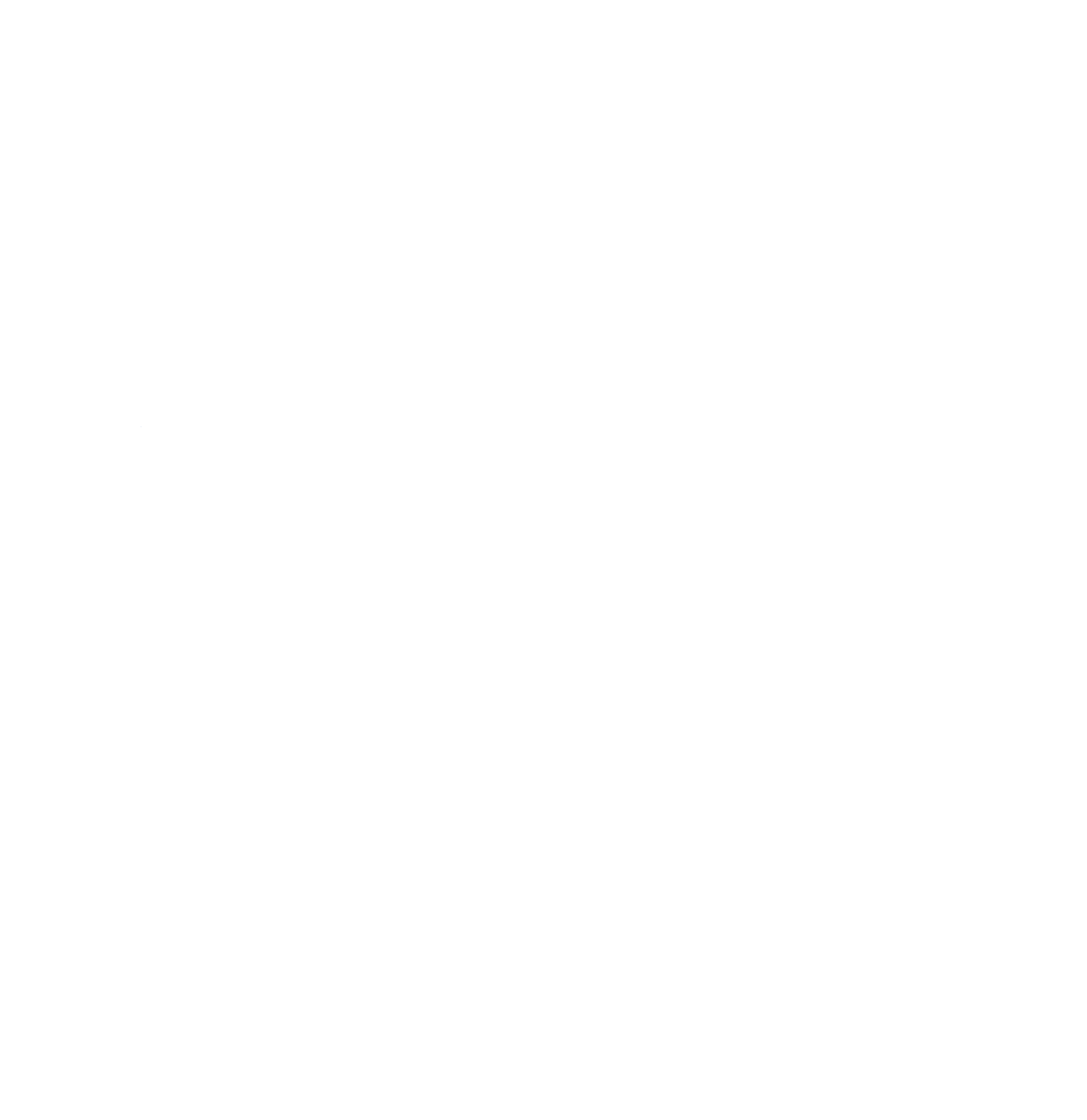 NISER LOGO