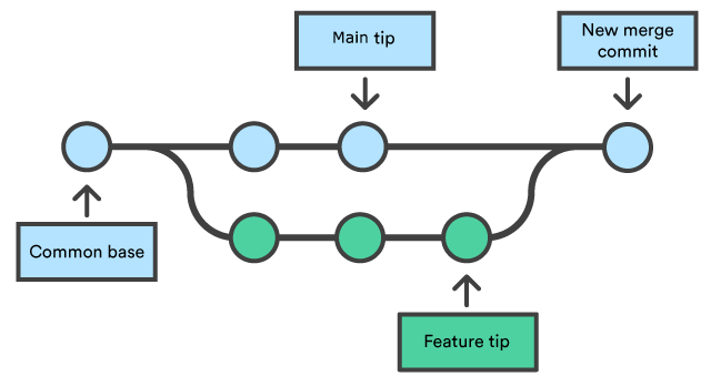 Branching, Forking & Pull Requests